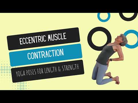 Muscle strength even as you stretch | Yoga with Rita – Fulcrum Blu
